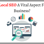 Why Is Local SEO A Vital Aspect For Every Business?